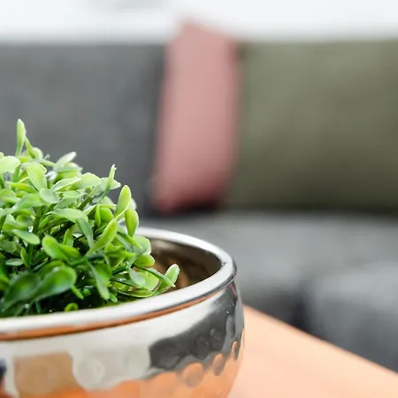 Mayerhofer Mittersill