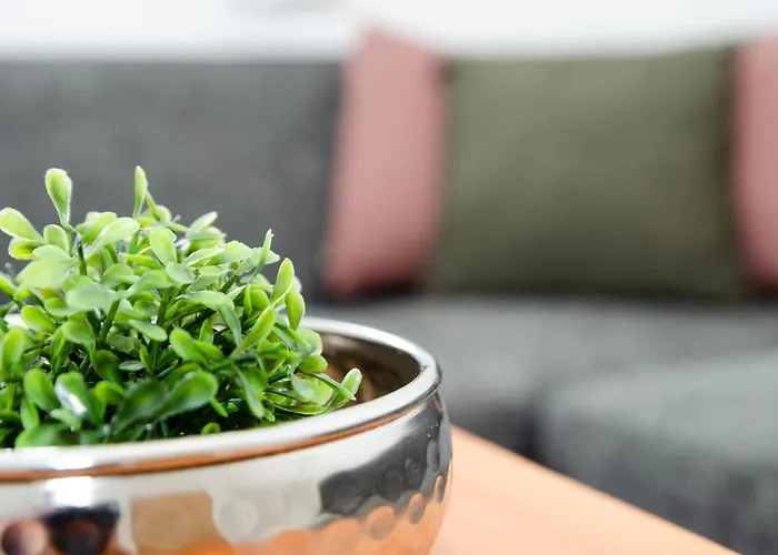 Mayerhofer ميترسل