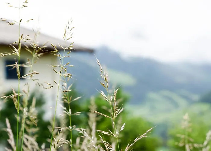 Mayerhofer Apartamento Mittersill