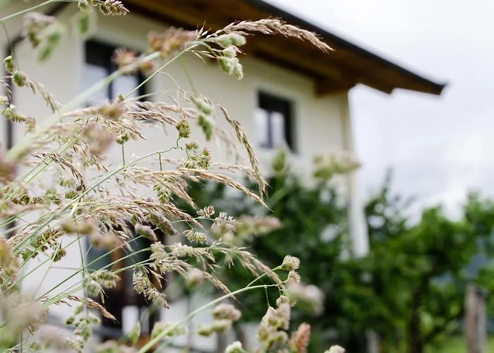 Mayerhofer * Mittersill